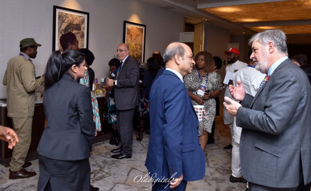 2019 Africa Advancement Forum London
